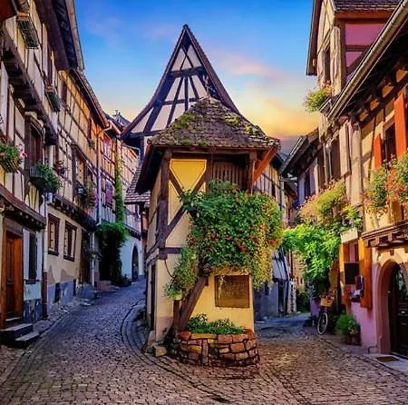 Le Marcellin - Garage - Terrasse Colmar